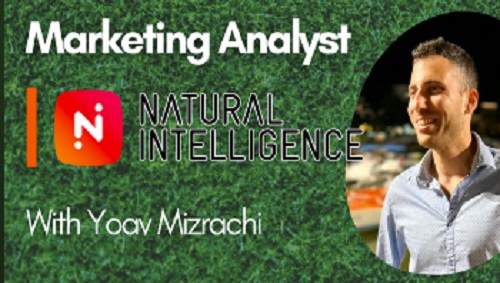 The Neighbor's Lawn Podcast - Marketing Analyst 